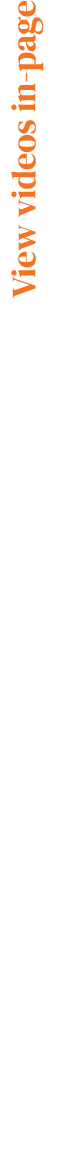 View videos in page